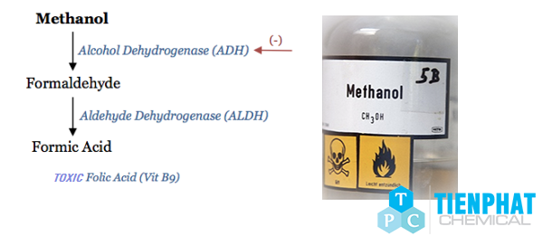 Tại sao Methanol độc